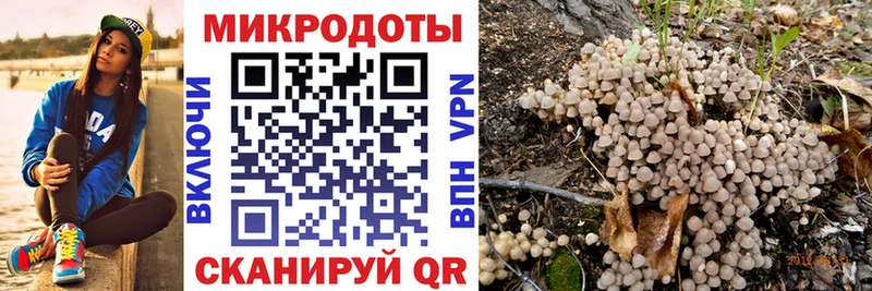 Псилоцибиновые грибы прущие грибы  Аксай 