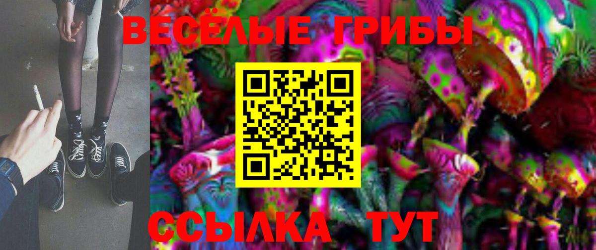 Галлюциногенные грибы мицелий  Галлюциногенные грибы Psilocybe  Аксай  Вход с VPN 